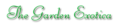 The Garden Exotica