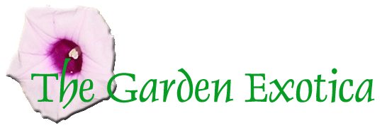 The Garden Exotica
